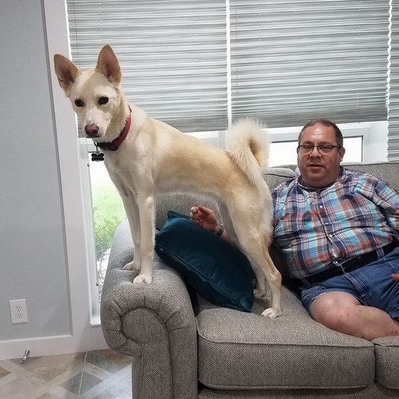 Meet your Posher, Scott - Picture 1 of 1